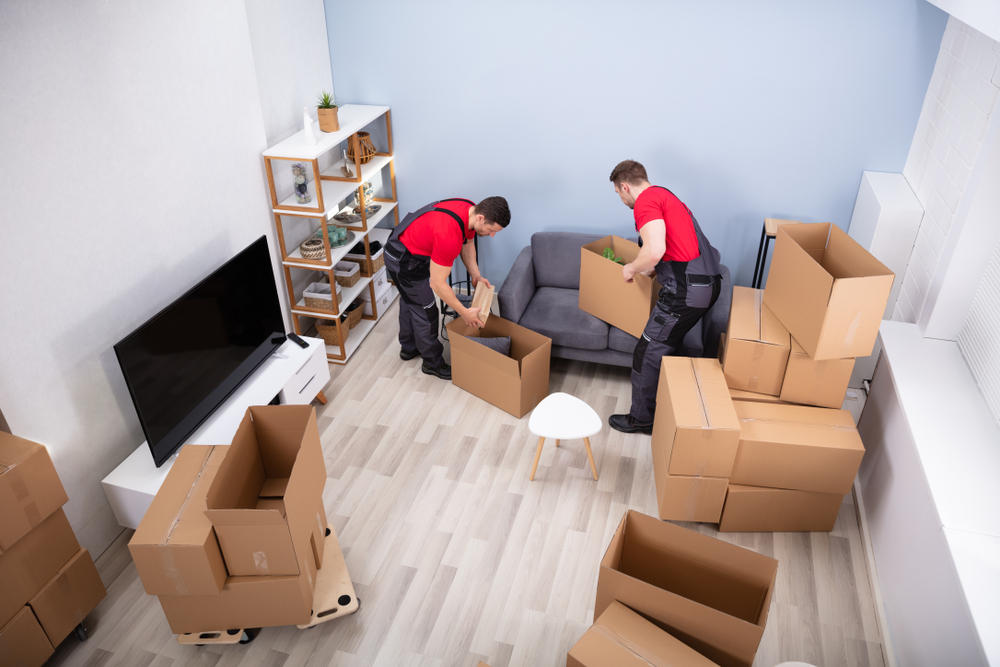 small office movers