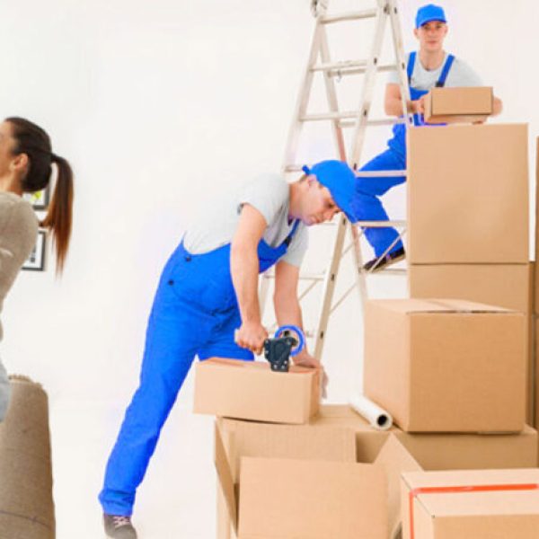 moving-team-packing-boxes-with-assistance-from-woman